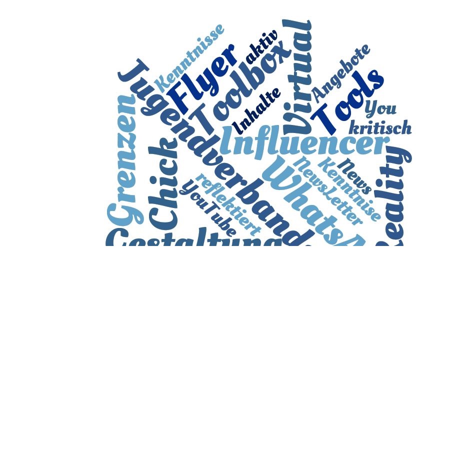 wordcloud Biref 5